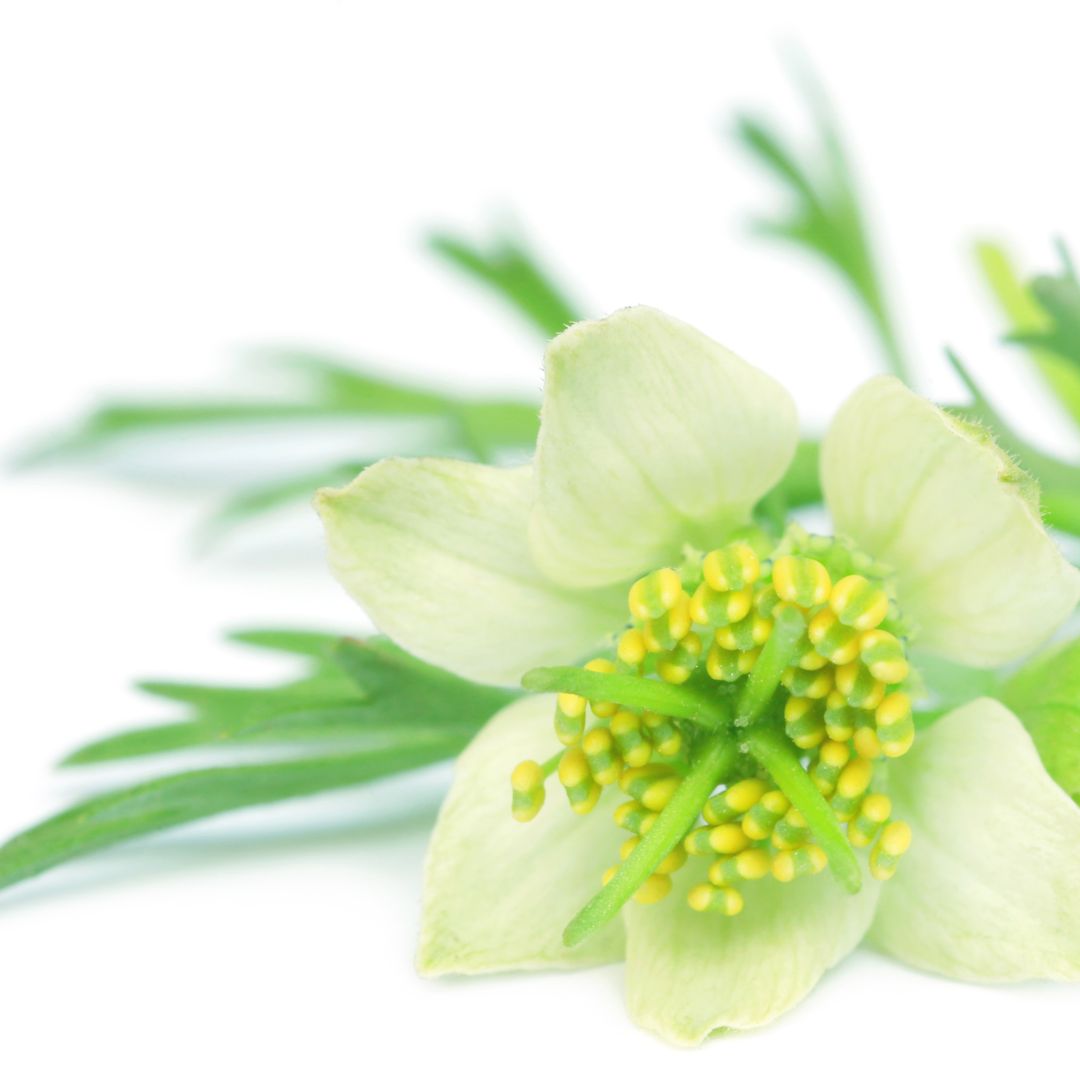 7分間デトックスセミナーLP 10 - 7分間デトックスセミナーLP