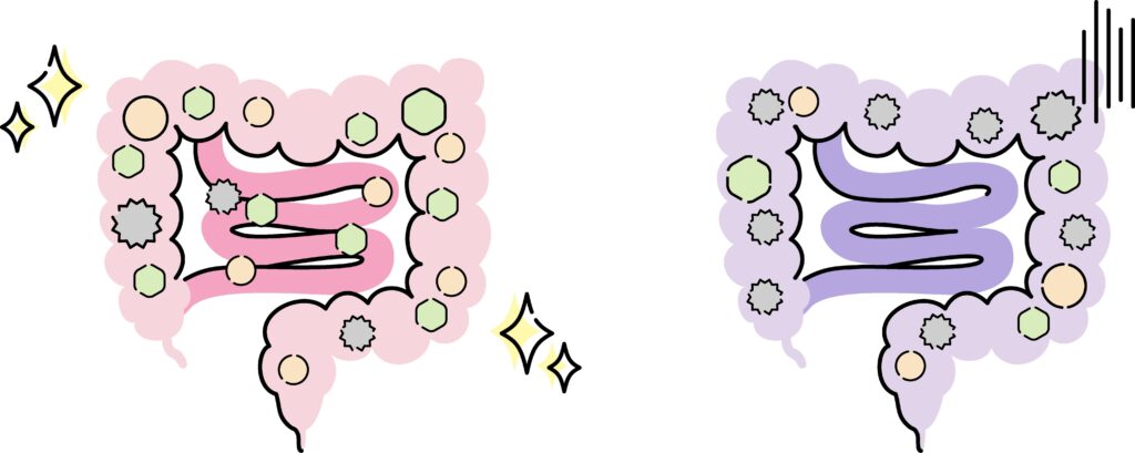 7分間デトックスセミナーLP AdobeStock 487464193 1024x409 - 7分間デトックスセミナーLP